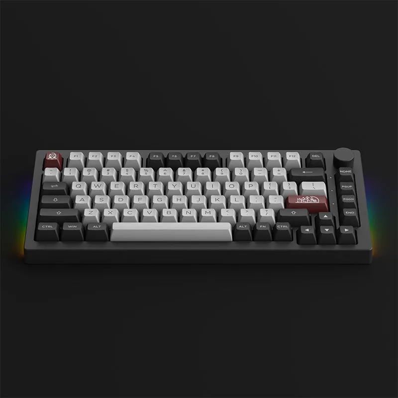 Akko Dracula Castle 5075B Plus Wireless Mechanical Gaming Keyboard with PBT Keycaps, RGB, 2.4GHz, Bluetooth, Compact