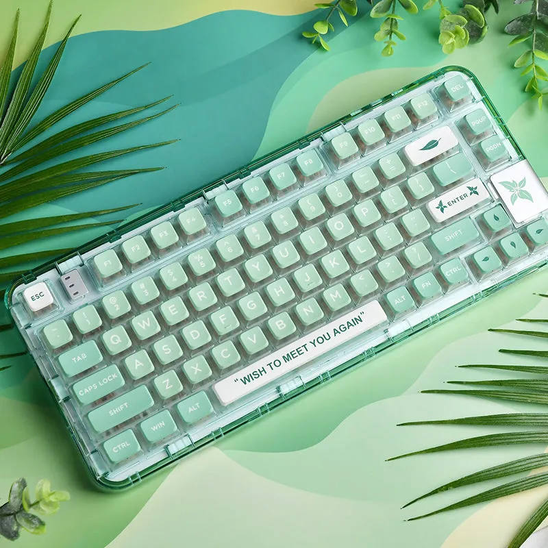 CoolKiller CK75 Triple Mode Transparent Mechanical Keyboard