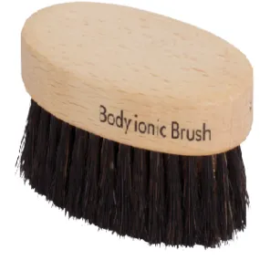 Dry Brush Ionic Mini