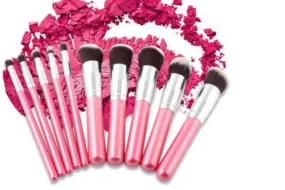 Glamza 10pc Brush Sets - Pink or Blue