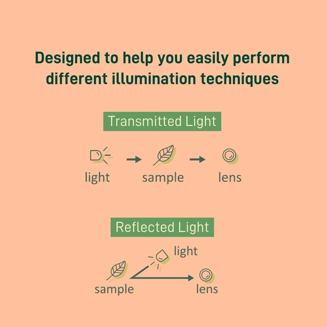 LED Light Module Kit 2.0 (20 units)