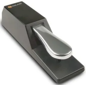 M-Audio SP-2 Sustain Pedal