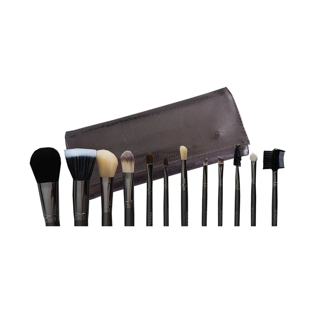 Pro Makeup Brush Set - 12 Piece