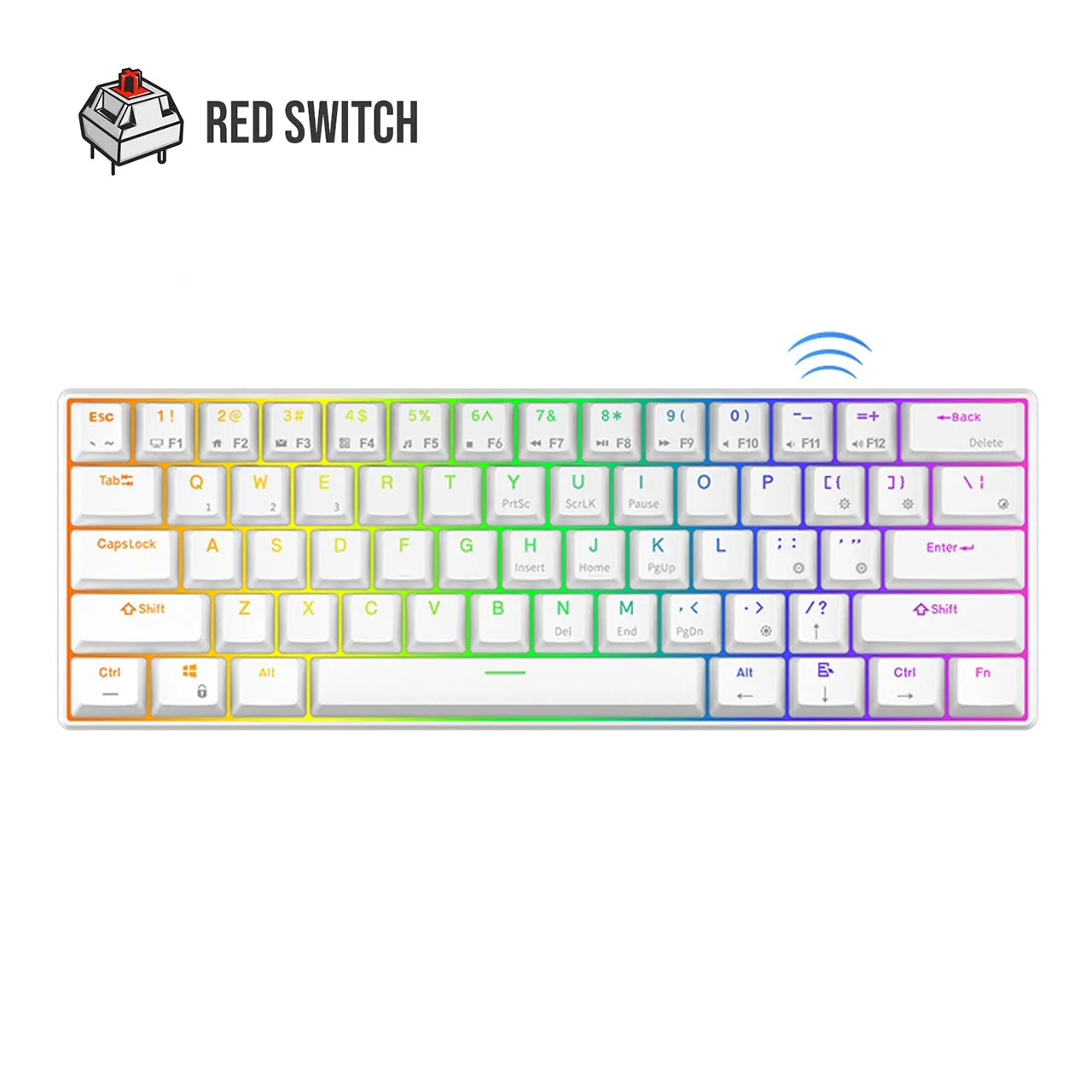 Royal Kludge RK RK61 RGB 61 Keys Mechanical Gaming Keyboard 2.4G Wireless Wired Hot Swappable with Bluetooth 5.0 (White, Black) (Available in Blue Clicky, Red Linear, and Brown Tactile Switch)