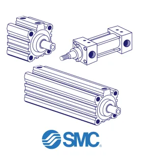 SMC CDQ2B100-60DM-P5DWSC Pneumatic Cylinder