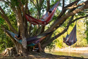 Twisted Print Hammocks