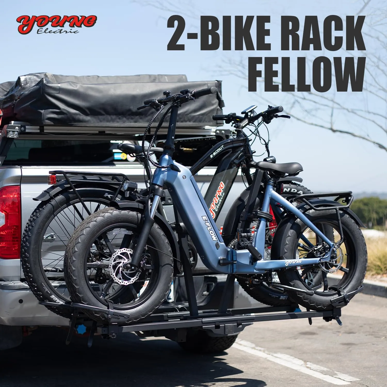 Young Electric 200 lbs Hitch - 2 Bike Rack